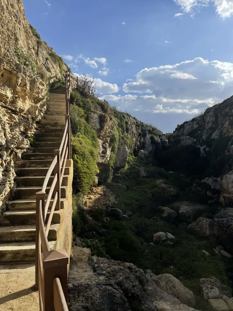 Wooden steps along a rock face in a green gorge